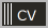 CV